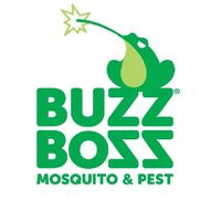buzzboss