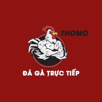 dagatructiepthomoonline