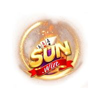 sun20winskin