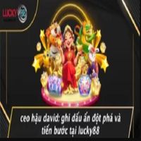 ceohaudavid