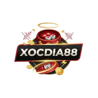 ceohaoduyan