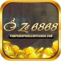 pamperedpoodlesbycarrie