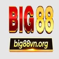 big88vnorg