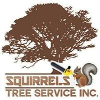 squirrelstreeservice