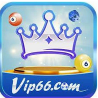 vip66cymru