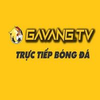 gavangtvspace