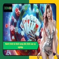 ceotranquehuong