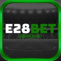 e28vnskin