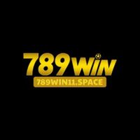 789win11space