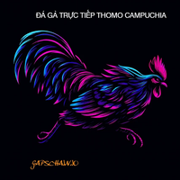 dagatructiepgaps