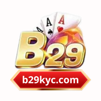 B29kyccom