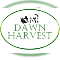 dawnharvest