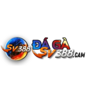 dagasv388cam
