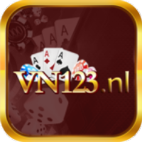vn123nl