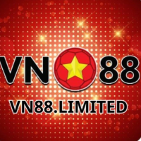 vn88limited1