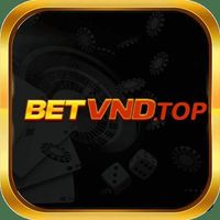 betvndtop