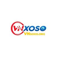 vnsoxoorg