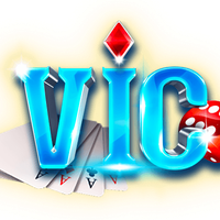 vicwinsite