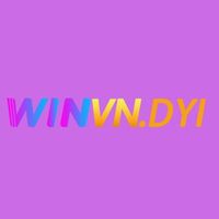 winvndiy