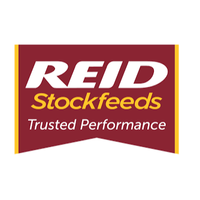 Reidstockfeeds
