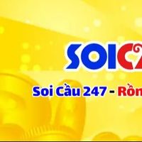 soi_cau_mb_247