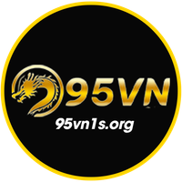 95vn1sorg
