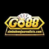 go88_zimbabwejournalists