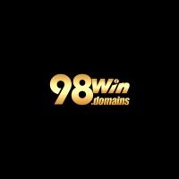 98windomains 0