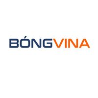 bongvinavip