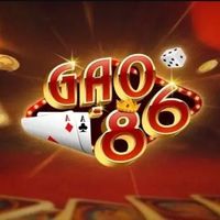 gao86info