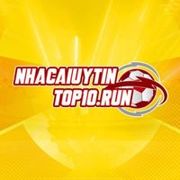 nhacaiuytintop10run