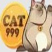 cat999kim