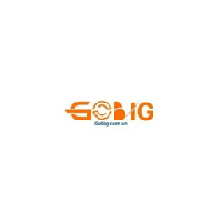 gobigcomvn