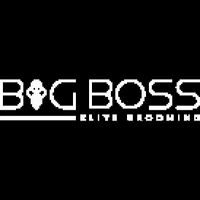 Big.Boss.Salon