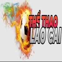 thethaolaocai