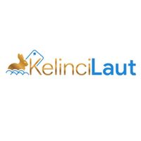 kelincilaut