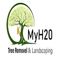 Myh20 tree removal