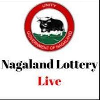 nagalandstatelotery5