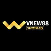 vnew88diy