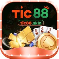 tic88skin