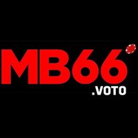 mb66voto