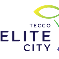 teccoelitecity