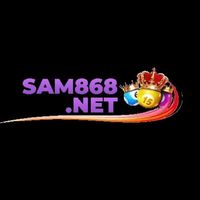 sam686net