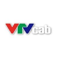 vtvcab24hvn