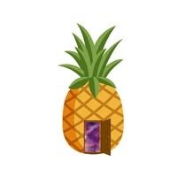 PineappleHousePlatforms