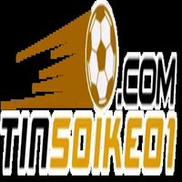 tinsoikeo1comm