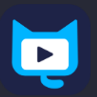 cinegato14