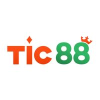 tic88homcam