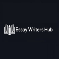 EssayWritersHub
