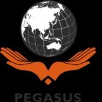 Pegasusvn
